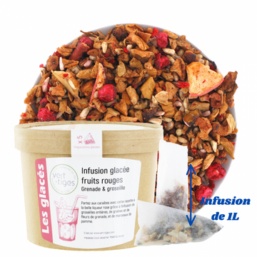 Infusion glacée fruits rouges x5 infusettes