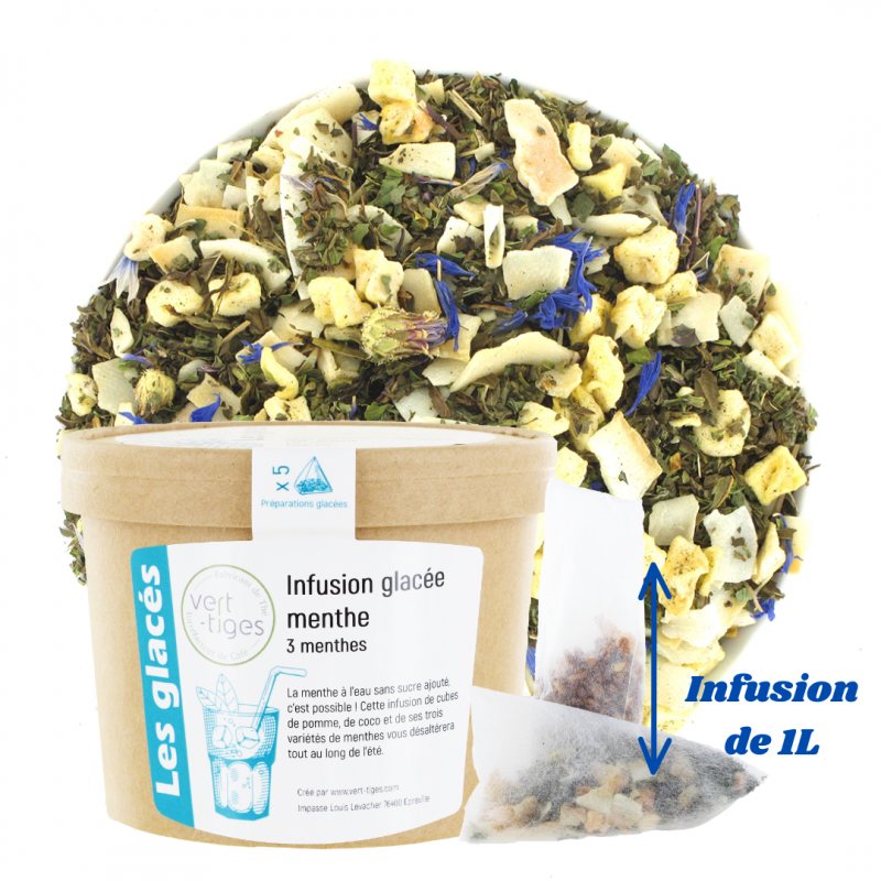 Infusion glacée menthe x5 infusettes
