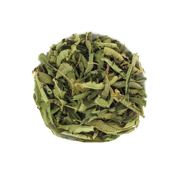 Verveine odorante grandes feuilles